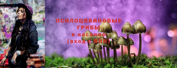 винт Абинск
