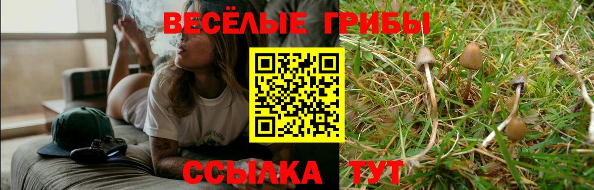 Псилоцибиновые грибы Psilocybe  Вход с VPN  Искитим 