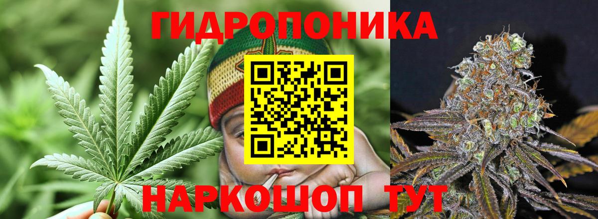 Искитим  Конопля конопля  Бошки марихуана сатива  Каннабис Ganja  Вход с VPN  Бошки марихуана AK-47 